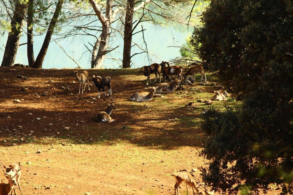 Hotel Balneario Parque De Cazorla Arroyo Frio Luaran gambar